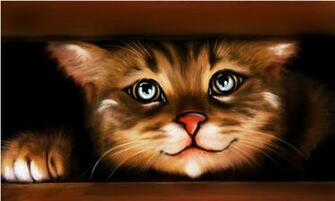 Hola Wallpaper