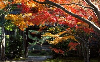 Japan Wallpaper Widescreen HD Background Desktop