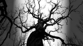 Black And White Trees Silhouette Monochrome Wallpaper