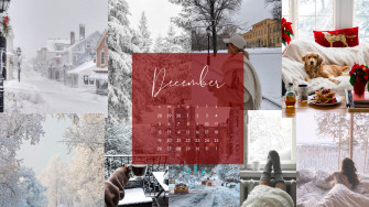 Macbook Screensavers Julia K Crist