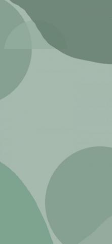 Sage Green Aesthetic Wallpaper Boho Abstract