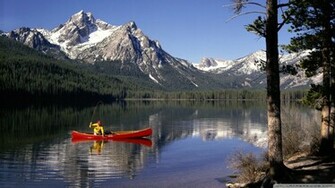 Trout Fishing Wallpaper