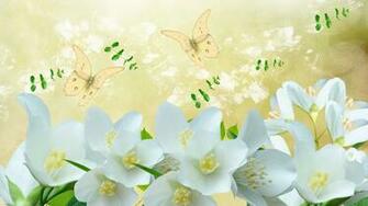 Jasmine Flower Wallpaper
