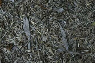 Old Dry Leaves At Night Background Texture Mytextures