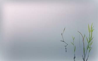 Zen Wallpaper HD Res
