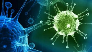 Microbiology Wallpaper