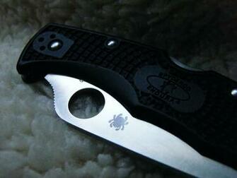 File Spyderco Endura Jpg