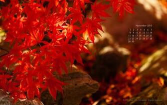 November Wallpaper David Griffin Photography