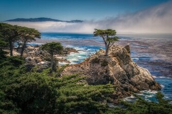 Mile Drive Pebble Beach California Wallpaper Photos Pictures