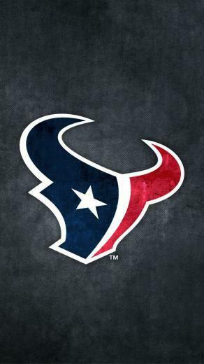 Houston Texans Jj Watt Cheerleaders