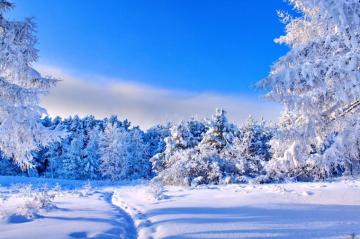Sunny Winter Day Wallpaper