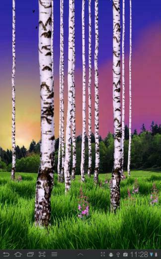 Birch Wood Live Wallpaper Android Apps On Google Play