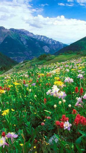 Nature iPhone Wallpaper HD For