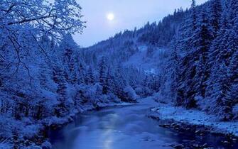 Wallpaper Winter Wonderland