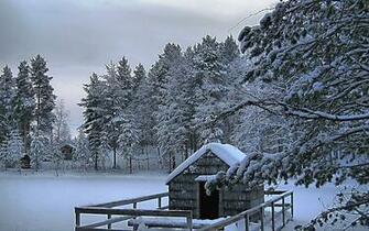 Beautiful Winter Scenery HD Wallpaper Wallbo