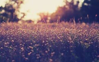 Macbook Background Nature Wallpaper Details