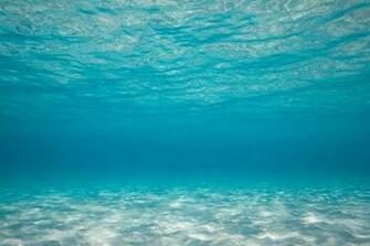 Astonishing Underwater Desktop Wallpaper