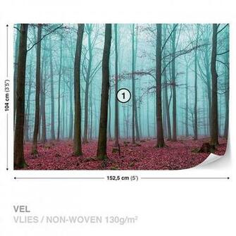 Nature Wood Forest Wall Mural Photo Wallpaper Room D Cor 2657ws