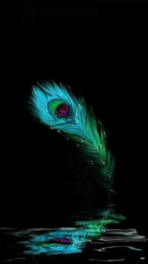 Feathers Wizards And Superheroes D Krishna Wallpaper