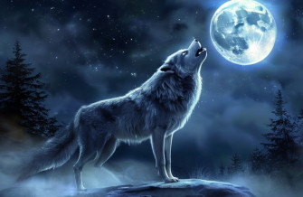 Howling Wolf Wallpaper