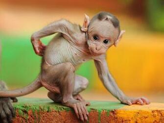 Photo Of The Day India National Geographic Photos And