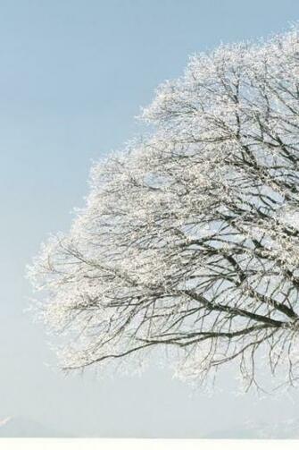 Winter Season Snow Wallpaper Miscellaneous HD