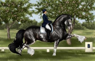 Draft Dressage By Apollo22 For Your