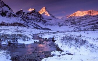 Snow Scenes Wallpaper