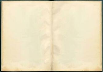Book Background Texture