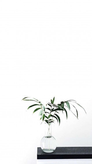 Image High Wallpaper