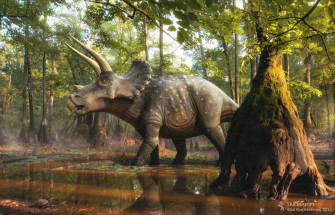 Triceratops In The Forest By Swordlord3d