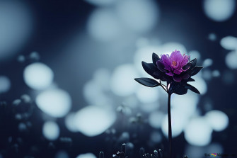 Purple Flower Desktop Wallpaper
