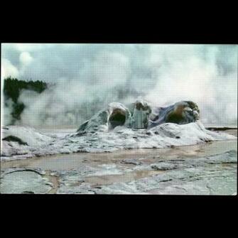 Grotto Geyser Cone Yellowstone National Park Wy Wyoming Vintage From