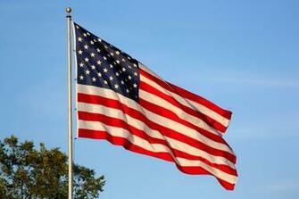 Usa Independence Day HD Wallpaper And Image