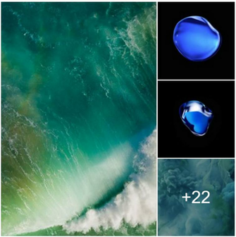iPhone Plus Stock Wallpaper All In