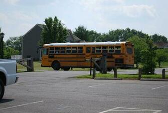School Bus By Peter Griffin