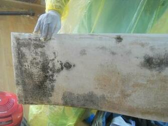 Wallpaper Mold