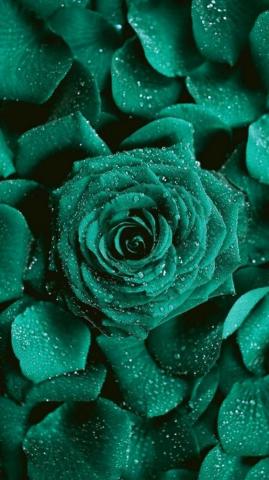 Jamie Allen On Pantone Emerald Shades Gold