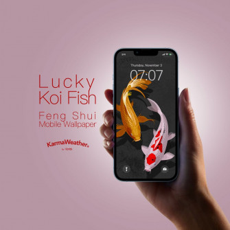 Feng Shui Mobile Wallpaper Of Koi Carp Fish Karmaweather Shop