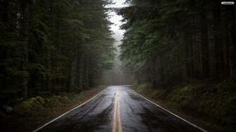 Dark Forest Road Wallpaper Jpg Alienware Arena
