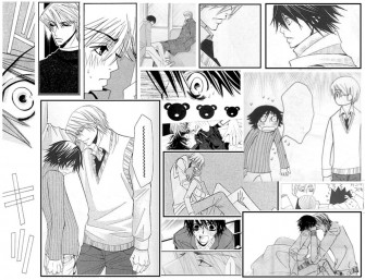 Junjou Romantica Usagixmisaki By Septerranights