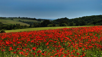 Desktop Wallpaper United Kingdom Saltash Cornwall Nature