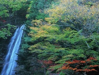 Wallpaper Nature Of Japan Pack Hq