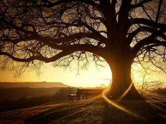 HD Wallpaper For Windows Desktop Background