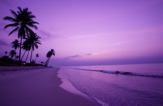 Purple Beach Wallpaper