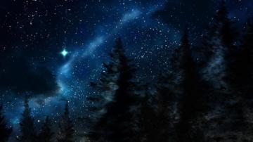Winter Night Forest Wallpaper At Wallpaperbro