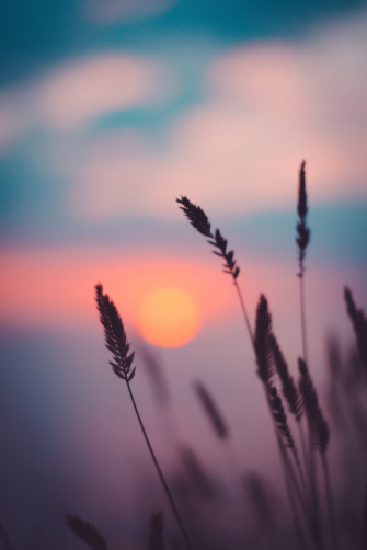 Stunning Sunset Aesthetic Wallpaper For Your Phone