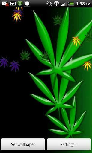 Bigger Weed Live Wallpaper Pot For Android Screenshot
