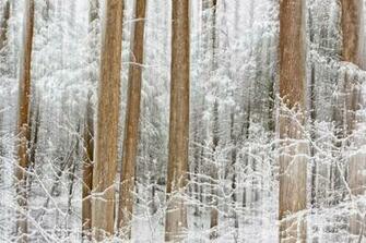 Desktop Wallpaper Or Screensaver William Britten Photography
