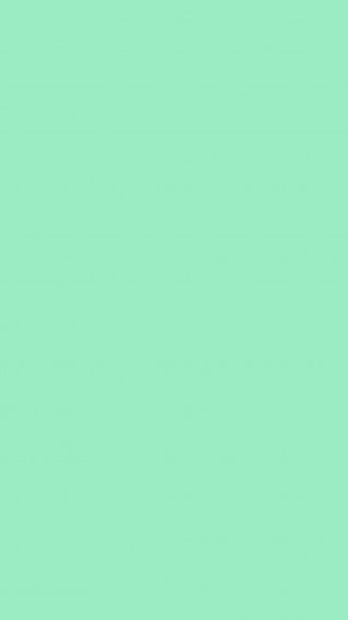 Plain Mint Color Wallpaper